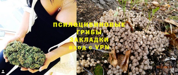 ALPHA PVP Алексеевка