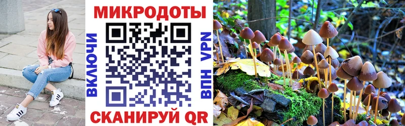 блэк спрут маркетплейс  Гусь-Хрустальный  Галлюциногенные грибы Magic Shrooms 
