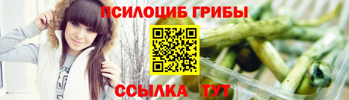 Псилоцибиновые грибы прущие грибы  Галлюциногенные грибы ЛСД  Вход с VPN  Гусь-Хрустальный 
